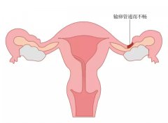 �����ѳ��ۺ������Թ�Ӥ����ע������' /></a></div>
<div class=